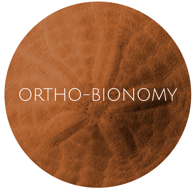 orthobionomy_home